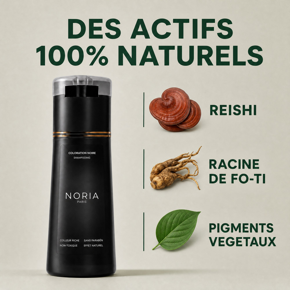 Shampoing cheveux blancs | Noir